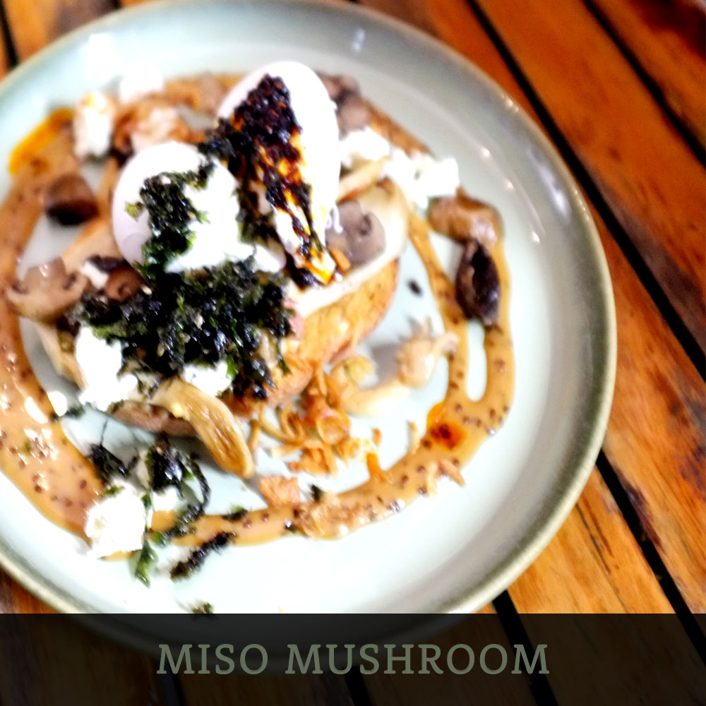 MISO MUSHROOM